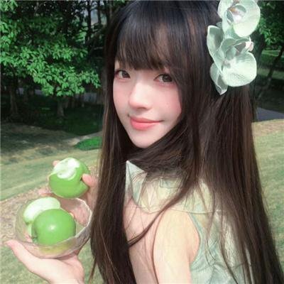 执行局长