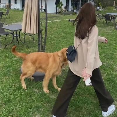 天在上